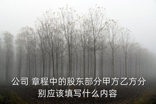 公司章程模板,個人獨資企業(yè)的公司章程模板