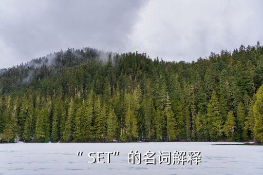 “ SET”的名詞解釋