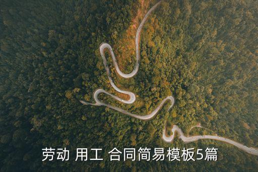 勞動 用工 合同簡易模板5篇