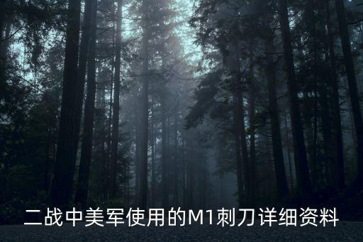 二戰(zhàn)中美軍使用的M1刺刀詳細資料