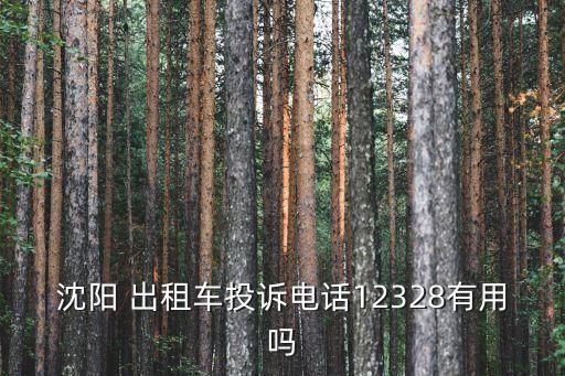 沈陽 出租車投訴電話12328有用嗎