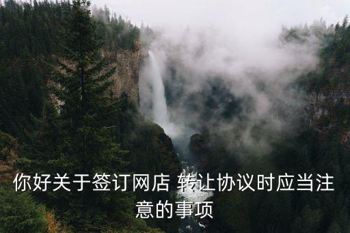你好關于簽訂網(wǎng)店 轉(zhuǎn)讓協(xié)議時應當注意的事項