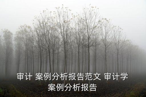審計(jì)案例
