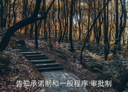 審批制
