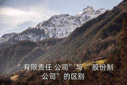 “ 有限責(zé)任 公司”與“ 股份制 公司”的區(qū)別