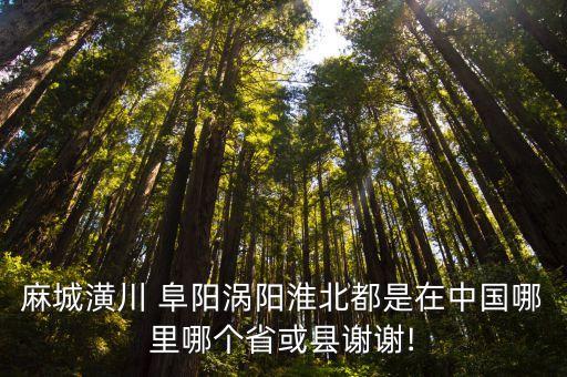 阜陽是哪里