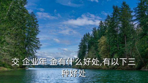企業(yè)年金有什么用,年金險(xiǎn)的優(yōu)點(diǎn)和缺點(diǎn)