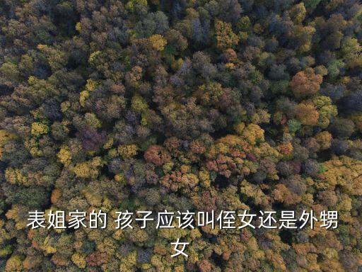  表姐家的 孩子應(yīng)該叫侄女還是外甥女
