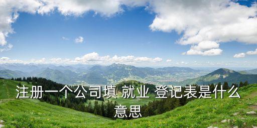 注冊一個(gè)公司填 就業(yè) 登記表是什么意思