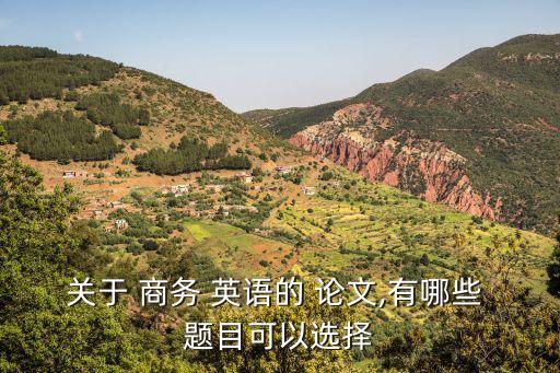 商務(wù)英語(yǔ)專業(yè)論文題目,新穎好寫的商務(wù)英語(yǔ)專業(yè)論文題目