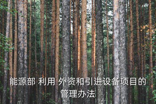 能源部 利用 外資和引進(jìn)設(shè)備項目的管理辦法