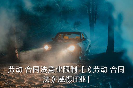 勞動(dòng) 合同法競(jìng)業(yè)限制【《勞動(dòng) 合同法》威懾IT業(yè)】