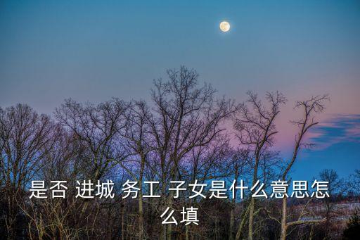 是否 進(jìn)城 務(wù)工 子女是什么意思怎么填
