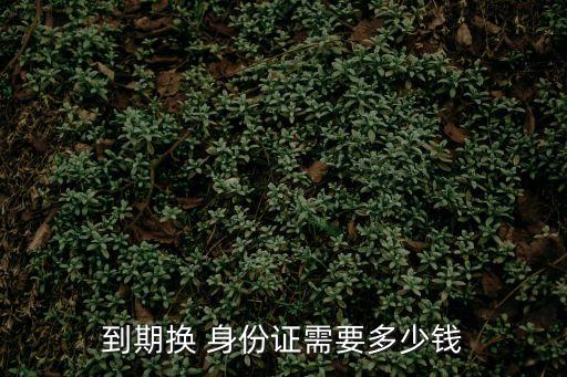 到期換 身份證需要多少錢