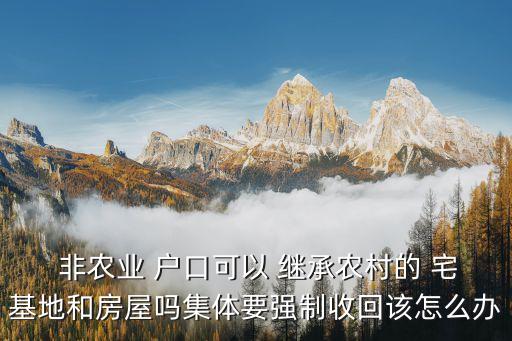  非農(nóng)業(yè) 戶口可以 繼承農(nóng)村的 宅基地和房屋嗎集體要強(qiáng)制收回該怎么辦