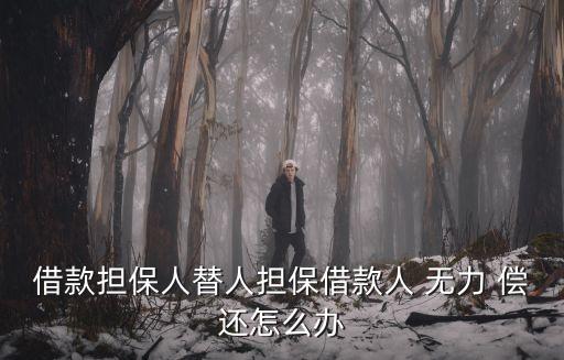 借款擔(dān)保人替人擔(dān)保借款人 無力 償還怎么辦