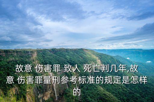 故意傷害致人死亡