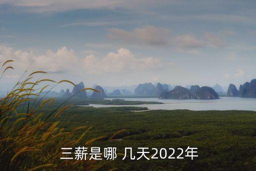 春節(jié)幾天三薪,2023年春節(jié)幾天三薪