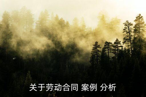 合同法案例分析論文2000,經(jīng)濟法合同法案例分析