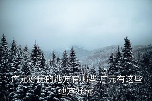 廣元在哪里,盤龍廣元在哪里