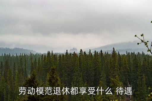 省勞模有什么待遇,市勞模有什么待遇