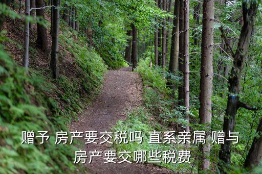 房產(chǎn)贈與直系親屬需要交什么費(fèi)用,北京房產(chǎn)贈與直系親屬需要交什么費(fèi)用
