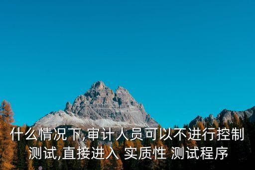 實(shí)質(zhì)性測試,主營業(yè)務(wù)收入的實(shí)質(zhì)性測試