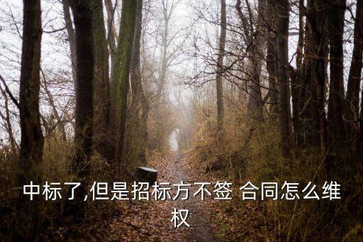 中標(biāo)了,但是招標(biāo)方不簽 合同怎么維權(quán)