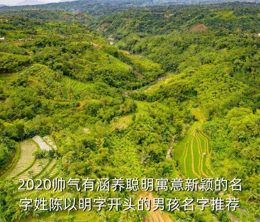 2020帥氣有涵養(yǎng)聰明寓意新穎的名字姓陳以明字開頭的男孩名字推薦