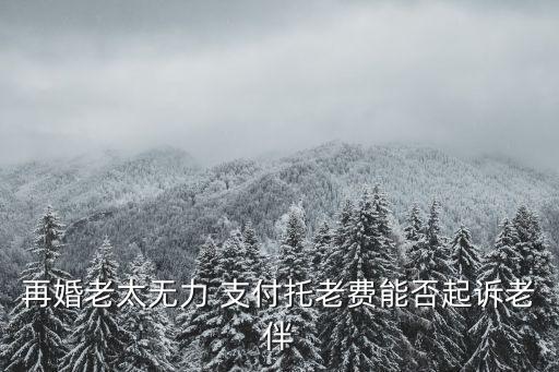 支付托