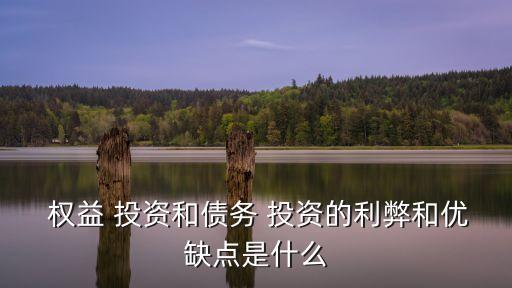 權(quán)益投資,天使投資的優(yōu)點(diǎn)有直接向企業(yè)進(jìn)行權(quán)益投資