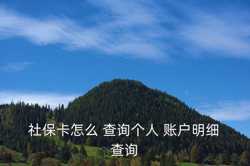 12333社保個(gè)人賬戶查詢,社保查詢個(gè)人賬戶繳費(fèi)明細(xì)查詢