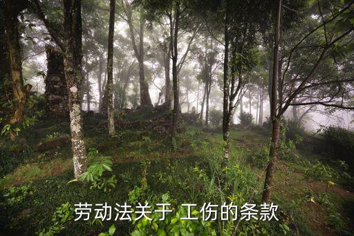 工傷賠償民法典中有規(guī)定嗎知乎,2022民法典關(guān)于工傷賠償規(guī)定