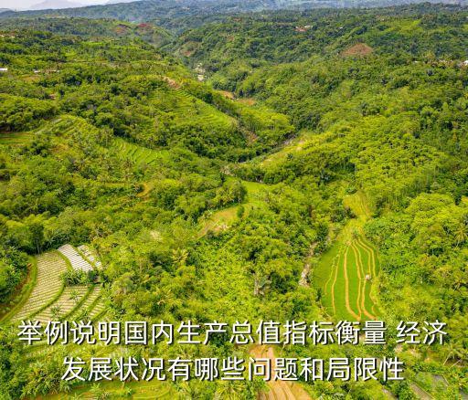灰色經(jīng)濟(jì),按廣義的定義,地下經(jīng)濟(jì)、灰色經(jīng)濟(jì)