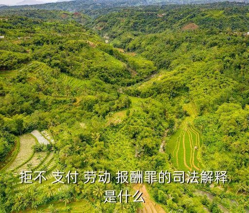拒不支付勞動(dòng)報(bào)酬罪