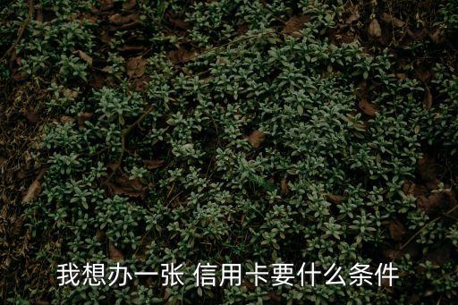 我想辦一張 信用卡要什么條件