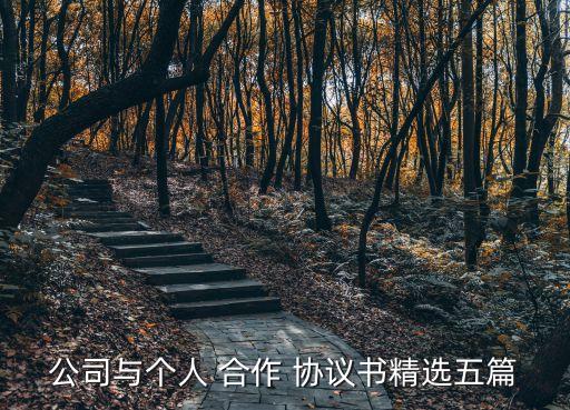 公司與個人 合作 協(xié)議書精選五篇