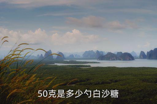 50克是多少勺白沙糖