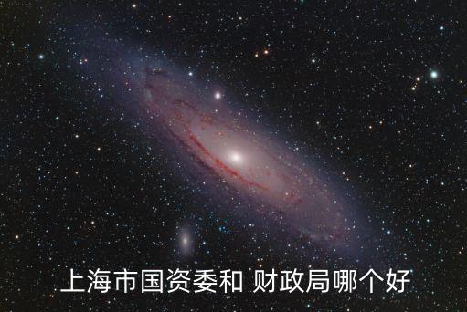  上海市國(guó)資委和 財(cái)政局哪個(gè)好