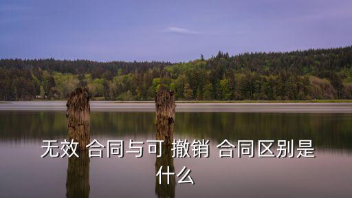  無(wú)效 合同與可 撤銷 合同區(qū)別是什么
