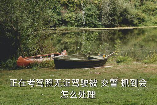 沒有駕駛證開車被交警抓到會怎樣,2023無證駕駛不再拘留
