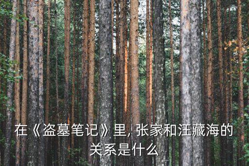 在《盜墓筆記》里, 張家和汪藏海的關(guān)系是什么