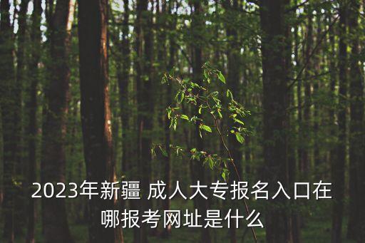 2023年新疆 成人大專報名入口在哪報考網(wǎng)址是什么