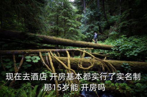 未成年怎么開(kāi)房,開(kāi)小型賓館需要什么手續(xù)