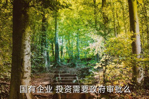  國有企業(yè) 投資需要政府審批么