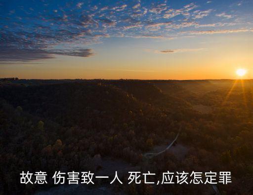 故意 傷害致一人 死亡,應(yīng)該怎定罪