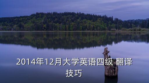 2014年12月大學(xué)英語(yǔ)四級(jí) 翻譯技巧