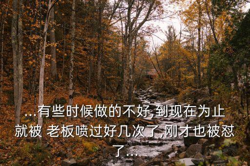 ...有些時候做的不好,到現(xiàn)在為止就被 老板噴過好幾次了,剛才也被懟了...