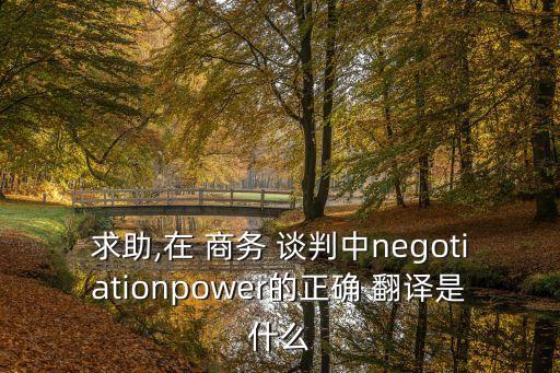 求助,在 商務(wù) 談判中negotiationpower的正確 翻譯是什么