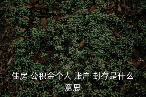 住房 公積金個人 賬戶 封存是什么意思